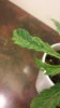 20161018_000612.jpg