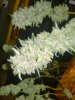 WP_20161014_015 1.jpg