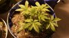 20161020_130943.jpg