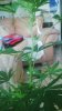 IMG_20161021_132611.jpg