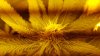 20161022_095911.jpg