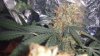 20161023_084445.jpg