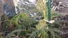 20161023_085904.jpg