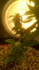WP_20161019_017.jpg