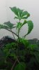 20161024_113344.jpg