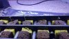 20161024_155147.jpg