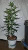 20161023_070524.jpg