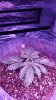 20160820_222859.jpg