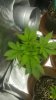 20161026_070547.jpg