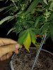 IMG_20161026_185532301.jpg