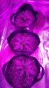 20161026_162208.jpg
