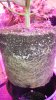 DSCN5512.JPG
