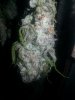 20161028_013949.jpg