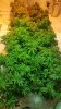 20161029_143340.jpg
