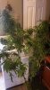 20161004_130804.jpg