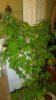 20161004_122355.jpg