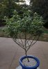 20161030_222459.jpg