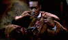 giphy (7).gif