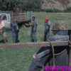 200w (26).gif