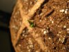 hg day6fromseed.jpg