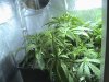 DSC00055.JPG