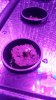 20161101_151648.jpg