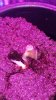 20161101_151913.jpg