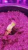 20161101_151924.jpg