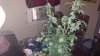 20161031_161045.jpg