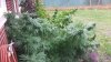20161102_135114.jpg 20161102_135114.jpg