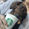 tumblr_nz5xwm9AtJ1ulsmyjo1_400.gif