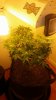 20161106_211225.jpg