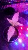 20161107_090211.jpg