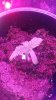 20161107_090241.jpg