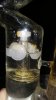 20161107_162221.jpg