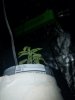 20161108_090517.jpg