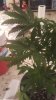 20161108_135356.jpg