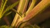 upload_2016-11-9_11-49-57.jpeg