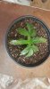 20161110_124116.jpg