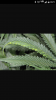 Screenshot_2016-11-11-08-21-38.png