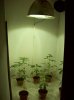 100_1062.jpg