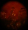 DSC03144.JPG