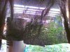 Picture0284.jpg