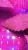 20161114_093457.jpg