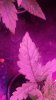 20161114_093434.jpg