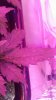 20161114_093408.jpg
