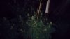 received_409030222819402.jpeg