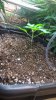 WP_20161101_07_12_48_Pro.jpg