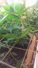 WP_20161116_07_30_36_Pro.jpg