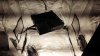20161118_145811_noexif.jpg 20161118_145811_noexif.jpg